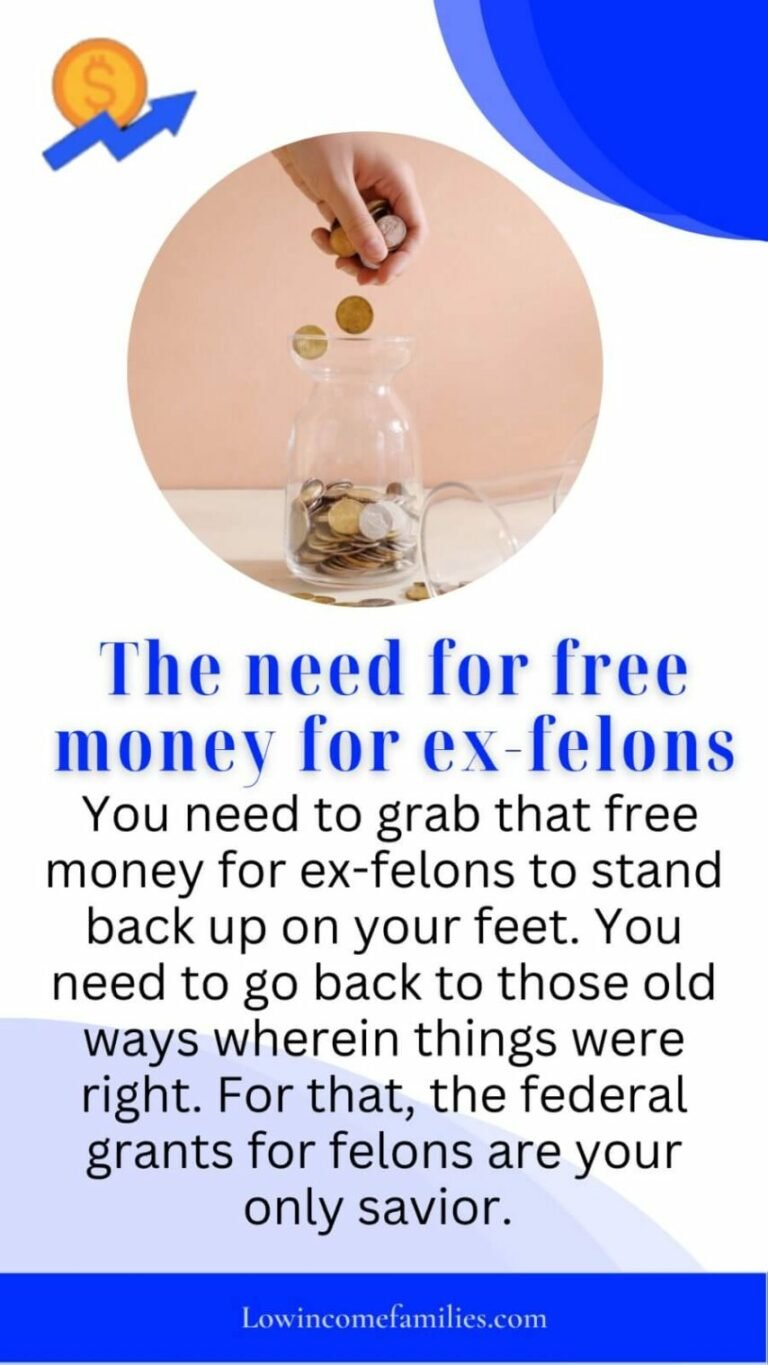 Free Money For Ex Felons 2023 Low Families