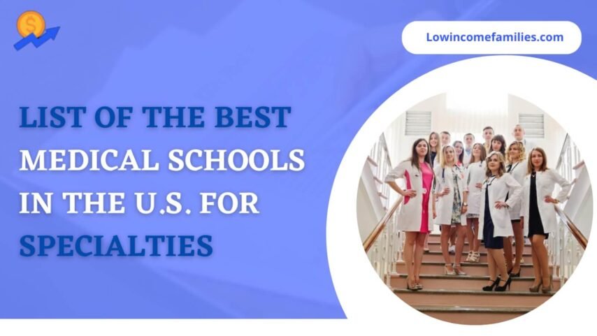 Best medical schools in the US