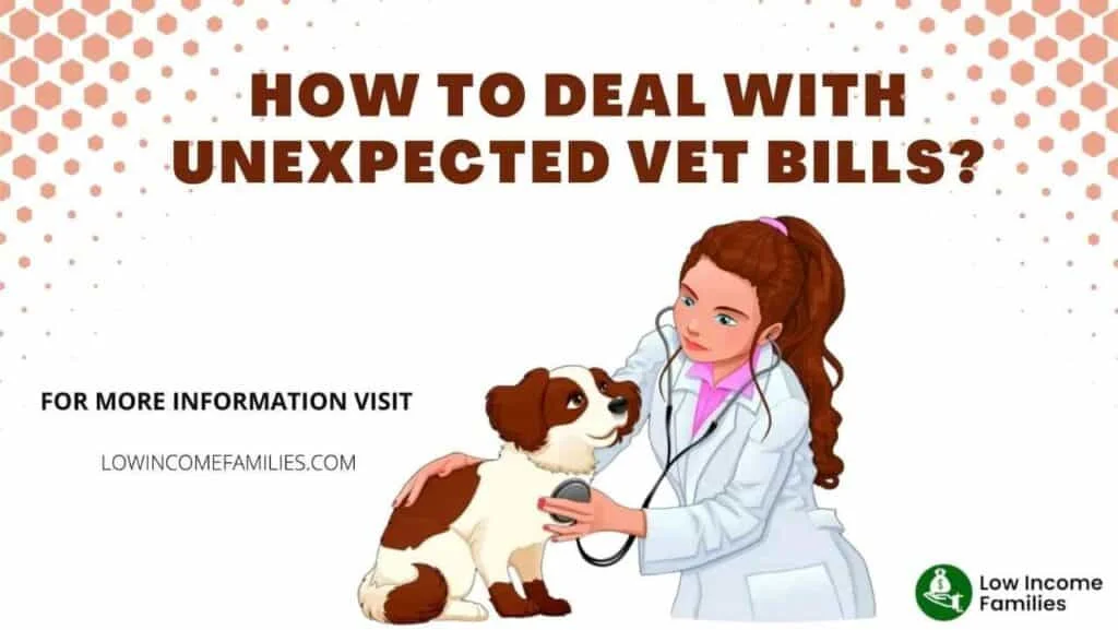 Emergency vet care for free