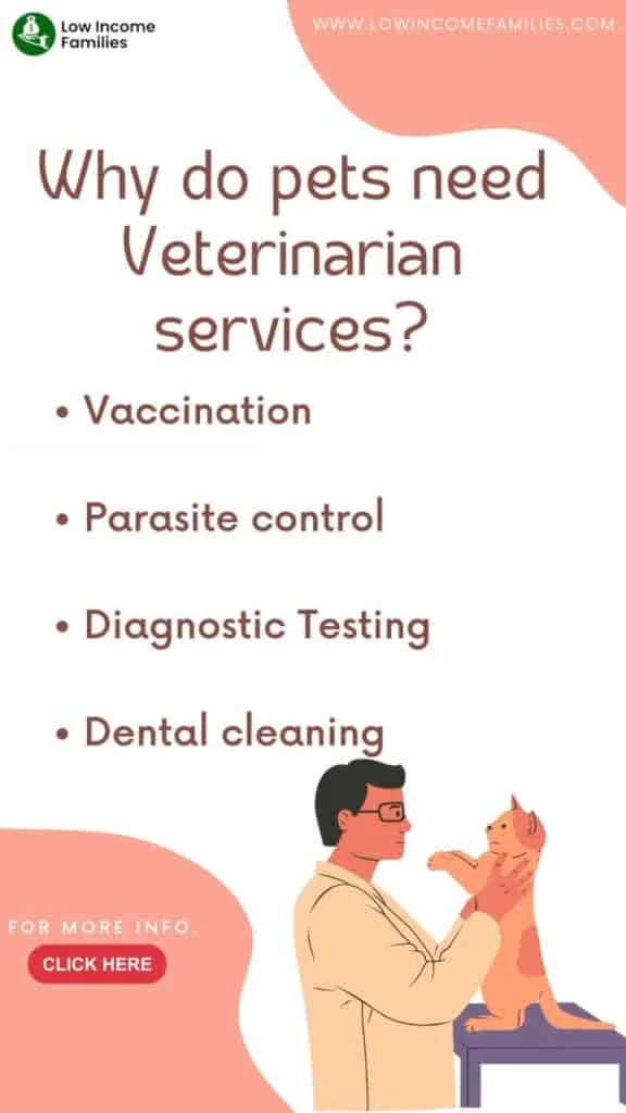Free vet care for low income families near me