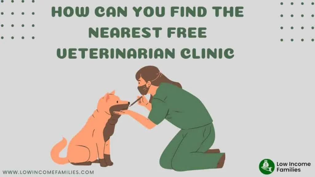 Free vet near me