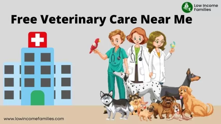 Free veterinary care for low income near me